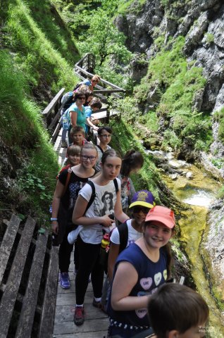 Nyári nyelvi tábor Ausztriában